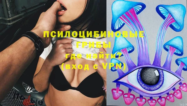 ешки Белокуриха