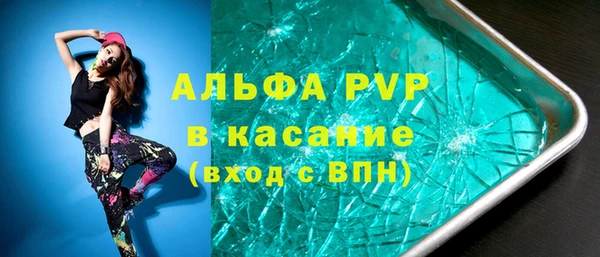 ешки Белокуриха