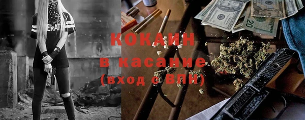 прущие грибы Белоозёрский