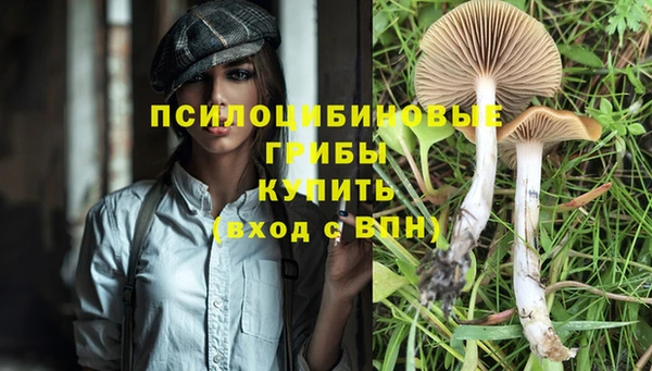 ешки Белокуриха