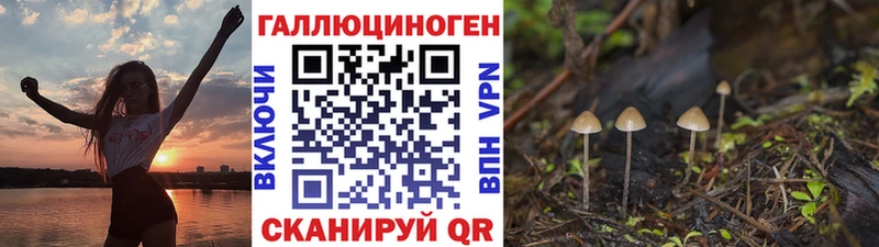Галлюциногенные грибы GOLDEN TEACHER Лобня
