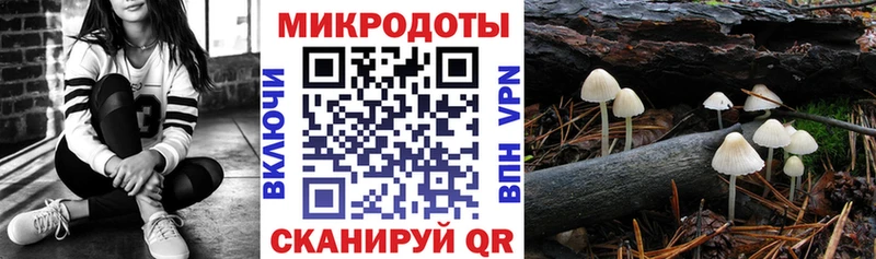 где продают Лобня Псилоцибиновые грибы ЛСД