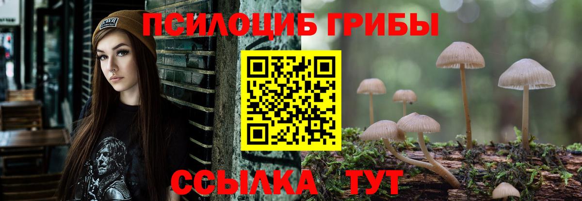 Галлюциногенные грибы мухоморы  купить наркоту  Псилоцибиновые грибы Magic Shrooms  Лобня 