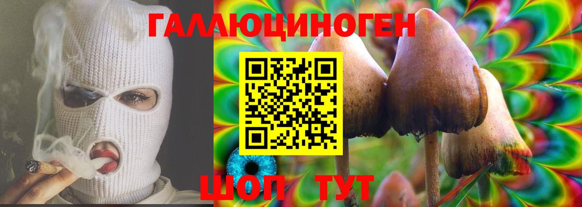 Псилоцибиновые грибы мицелий Лобня